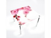 Стол обеденный квадратный Sakura