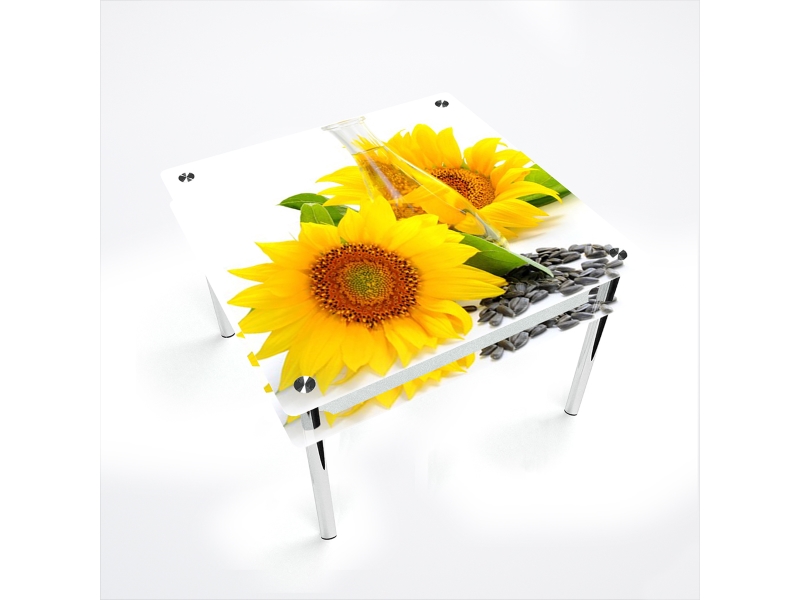 Компания БЦ-стол Стол обеденный квадратный с проходящей полкой Sunflower