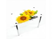 Стол обеденный прямоугольный Sunflower