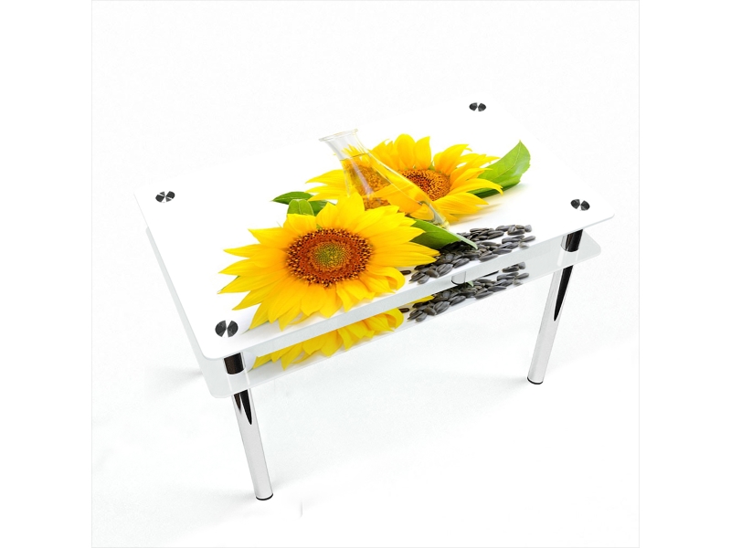 Компания БЦ-стол Стол обеденный прямоугольный с проходящей полкой Sunflower